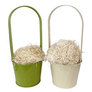 Set of 2 Metal Baskets - Perfect for Easter, Gifts or Potted Plants
